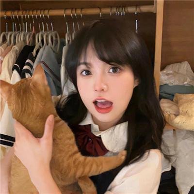《人类体验》封面